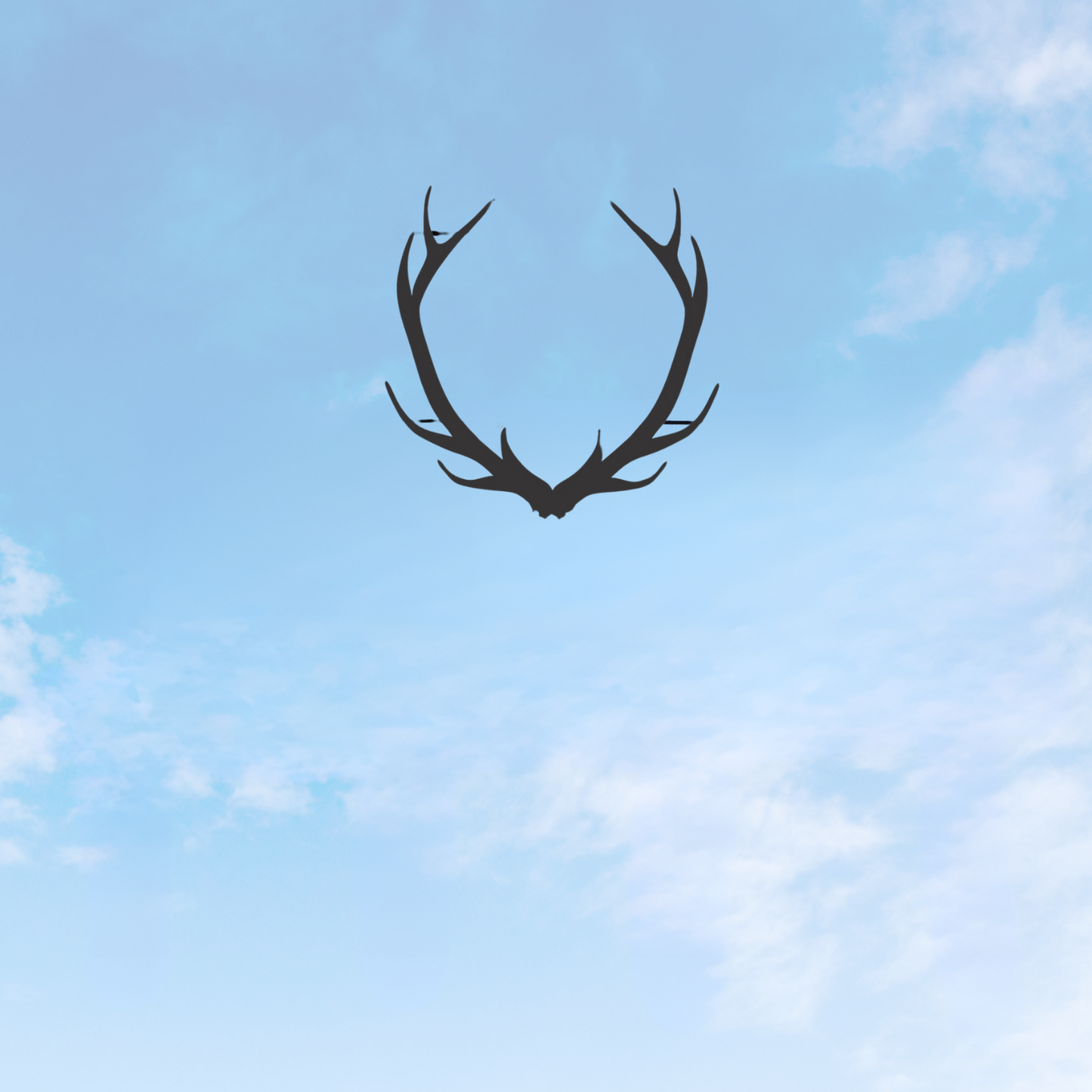 12" Deer Antler Decor