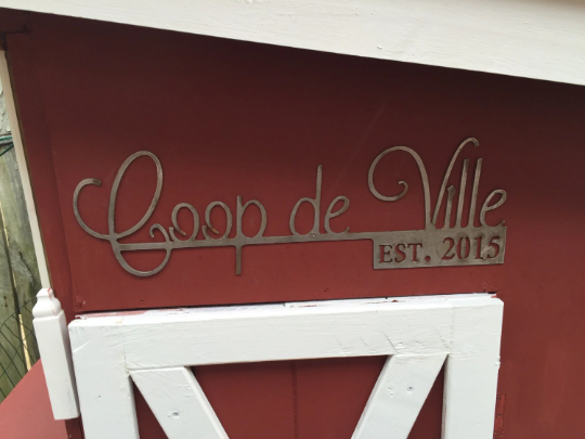 10" Coop de Ville, with Established Year
