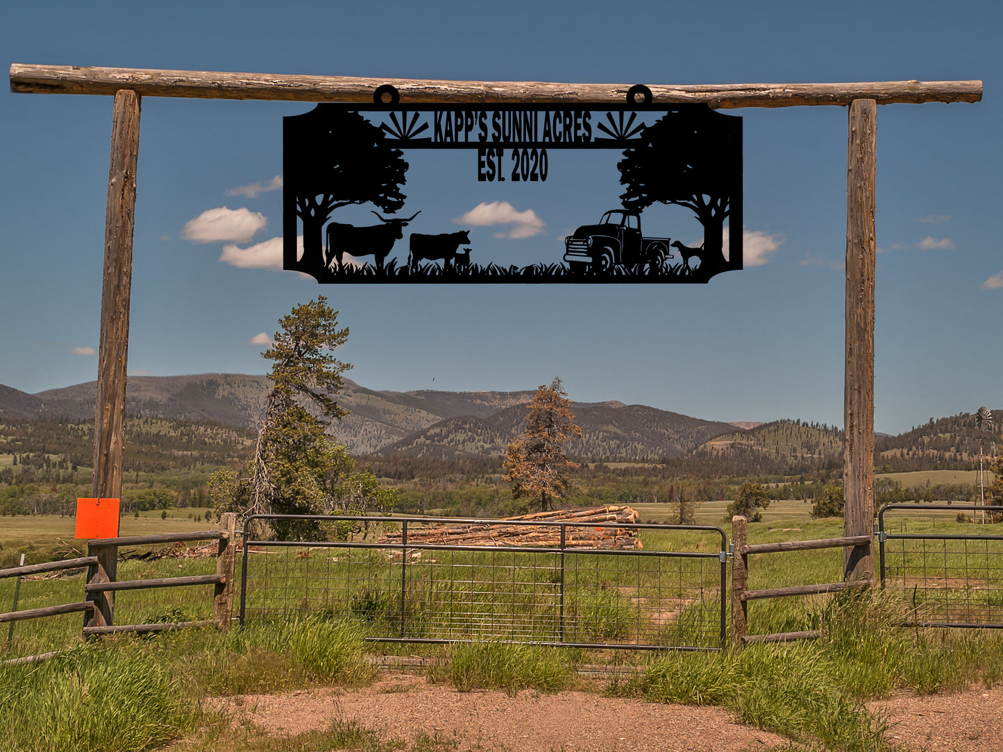 Farm Sign with Dogs, Longhorn, Cows, and a Truck